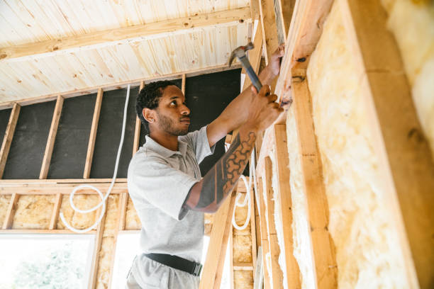 Best Wall Insulation Contractor  in West Carthage, NY