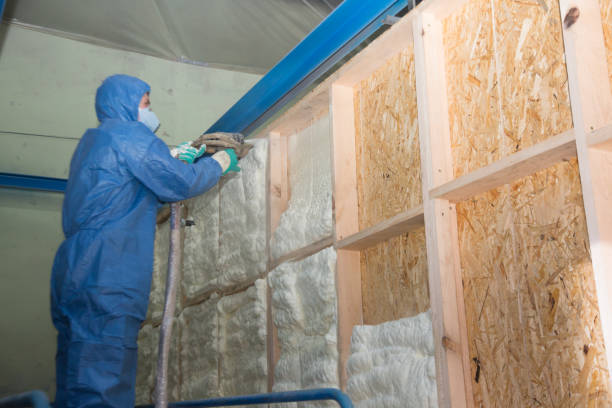 Best Spray Foam Insulation  in West Carthage, NY