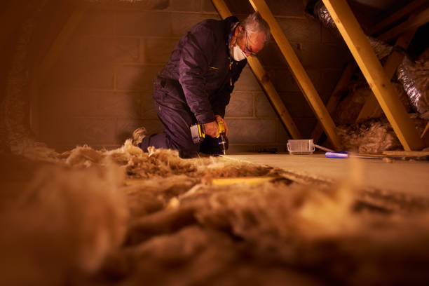 Best Insulation Removal Services  in West Carthage, NY
